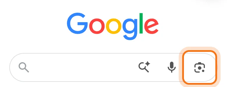 Google's search bar on a phone, with the Lens camera icon on the right marked.