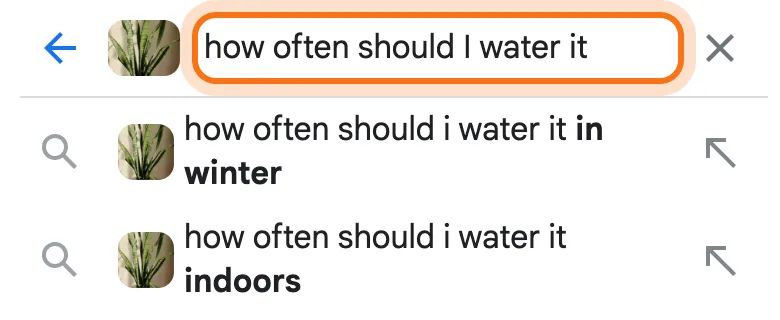 The search box at the top of Lens with the photo and the question "how often should I water it" typed in, marked, and suggestions under it.