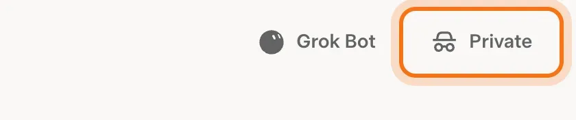 The "Private" button at the top right of Grok, marked.